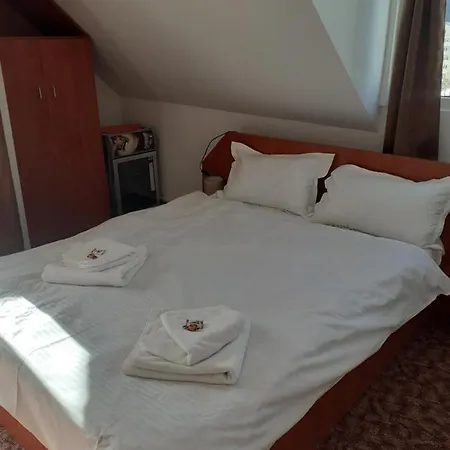 Guest house Casa Azugeana